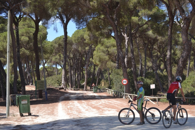 Pinares en bicicleta